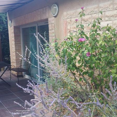 La Villa Des Violettes Toulouse Luaran gambar