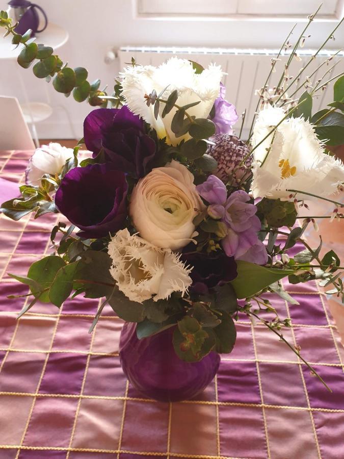 La Villa Des Violettes Toulouse Luaran gambar