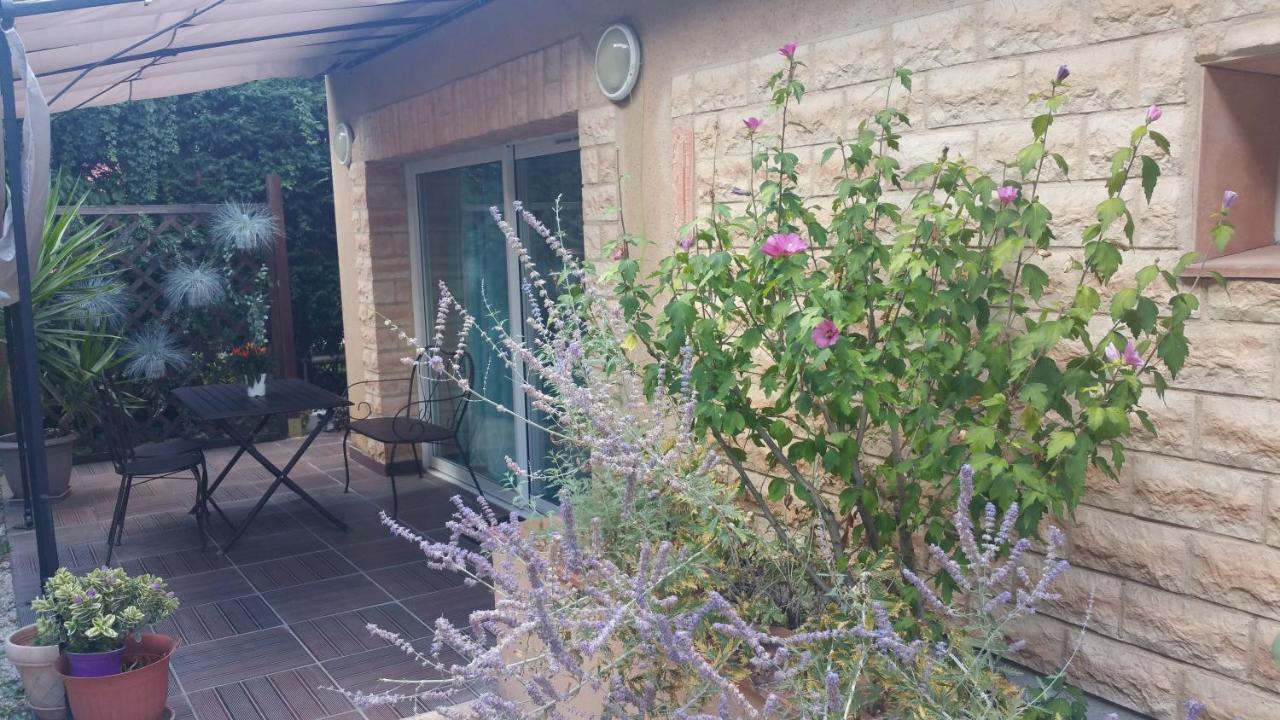 La Villa Des Violettes Toulouse Luaran gambar