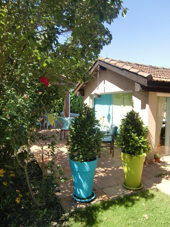 La Villa Des Violettes Toulouse Luaran gambar