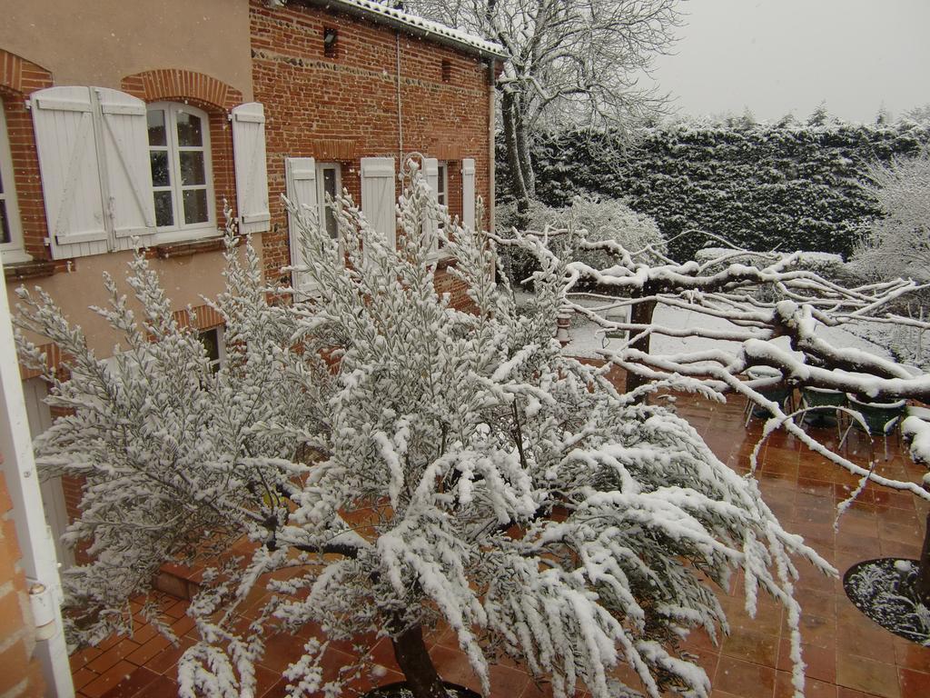 La Villa Des Violettes Toulouse Luaran gambar