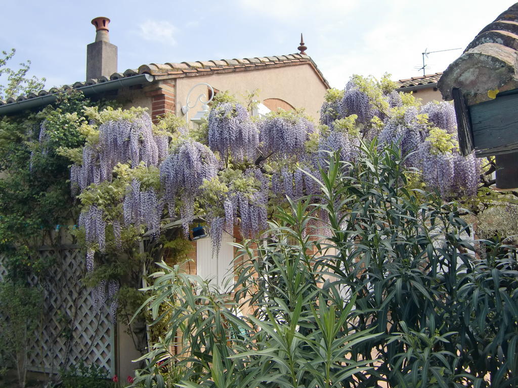 La Villa Des Violettes Toulouse Luaran gambar