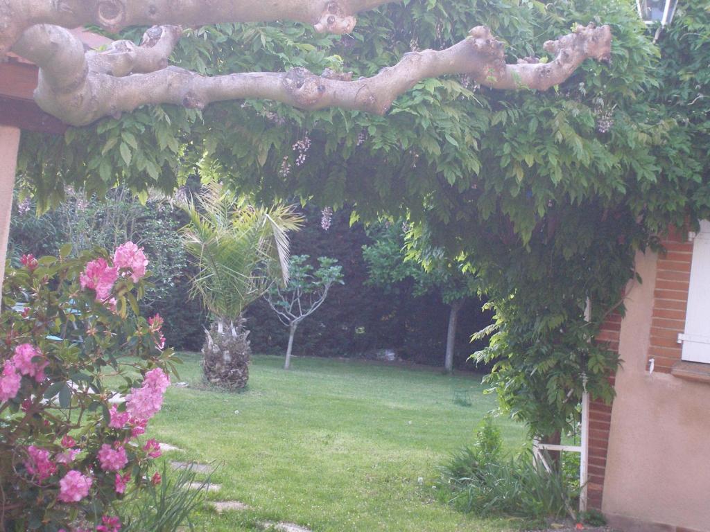 La Villa Des Violettes Toulouse Bilik gambar