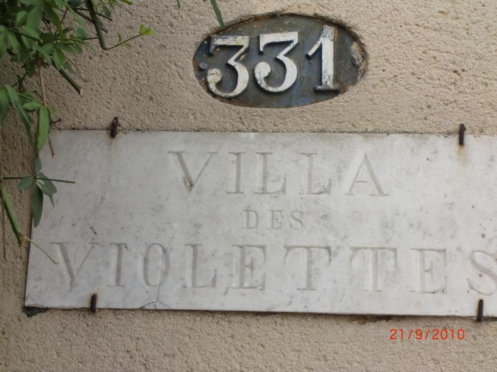 La Villa Des Violettes Toulouse Luaran gambar