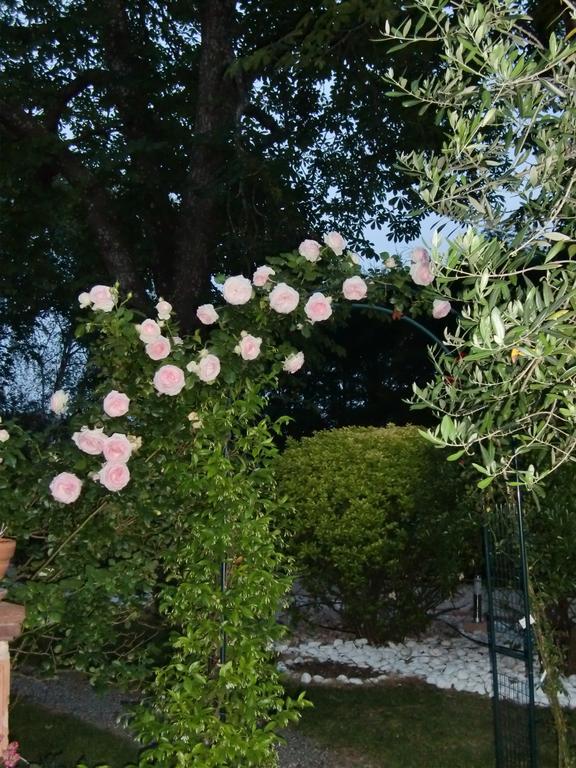 La Villa Des Violettes Toulouse Luaran gambar